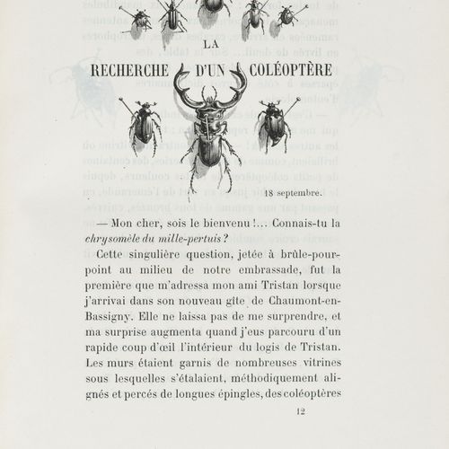 Null 泰瑞特（André）。灌木丛。巴黎，L. Conquet - G. Charpentier, 1883。8开本，全绿摩洛哥，书脊鎏金和鎏金棱纹，三层鎏&hellip;