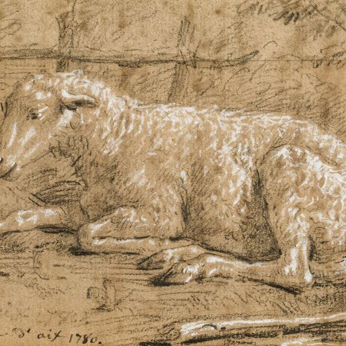 Null Paul Grégoire d'Aix (XVIIIe s.), Etude de mouton , fusain et gouache blanch&hellip;