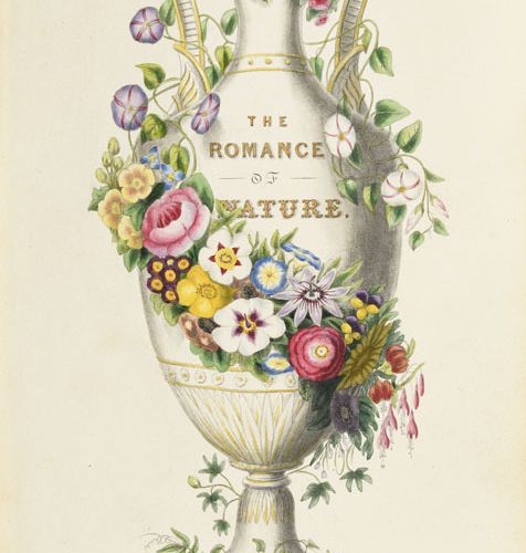 Null TWAMLEY (Louisa Anne). The Romance of nature or, the flower-seasons illustr&hellip;