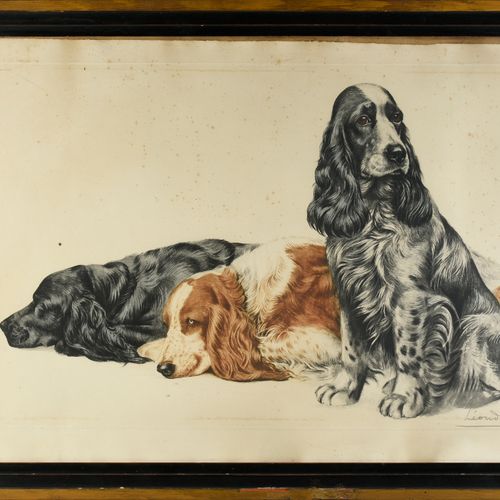 Léon DANCHIN (1887 1938) Three cocker spaniels Engraving in color, signed lower &hellip;