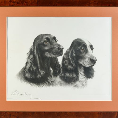 Léon DANCHIN (1887 1938) Two heads of cocker spaniels. Engraving signed lower le&hellip;