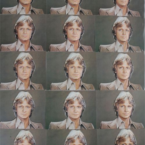Null 克劳德-弗朗西斯：一套 15 张的热塑照片，1978 年春歌手去世后出版。规格为 19x14.5 厘米。仅在 1978 年至 1980 年间通过邮购出&hellip;
