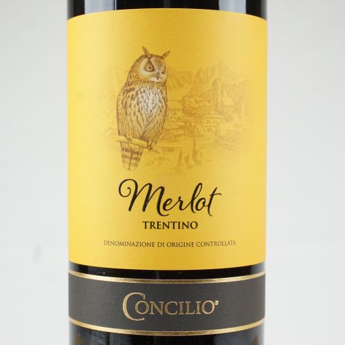 Null Merlot Trentino Concilio 2017
Trentino, DOC
6 bt
E
 