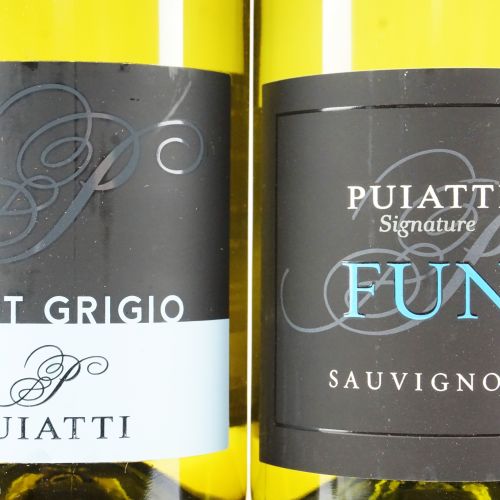 Null Selezione Puiatti
Pinot Grigio 2017 - 6 bt
Fun Sauvignon 2016 - 6 bt
12 bt
&hellip;