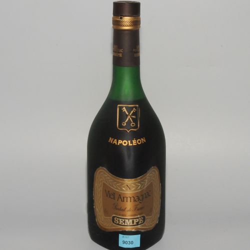 Lot Spirituosen Sempé Vieil Armagnac, 1 fl. Camus Cognac Celebration, litre, 1 f&hellip;