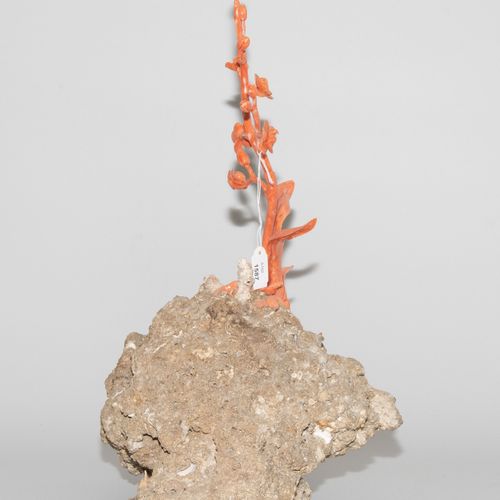 Zierfigur Figura ornamentale

Cina, 20°/21° sec. Corallo rosa su pietra corallin&hellip;