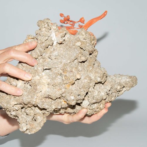 Zierfigur 观赏性人物

中国，20/21世纪，粉红珊瑚在死珊瑚石上，有化石的内含物。在未经处理的毛石上雕刻的兰花。高39厘米。