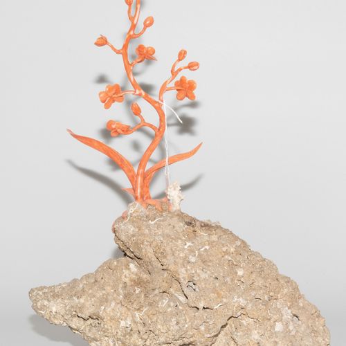 Zierfigur 观赏性人物

中国，20/21世纪，粉红珊瑚在死珊瑚石上，有化石的内含物。在未经处理的毛石上雕刻的兰花。高39厘米。