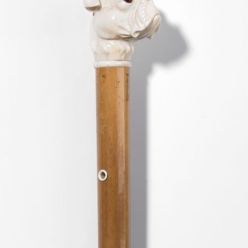 Spazierstock Canne 
Poignée en ivoire sculptée en forme de tête de chien. Tir en&hellip;