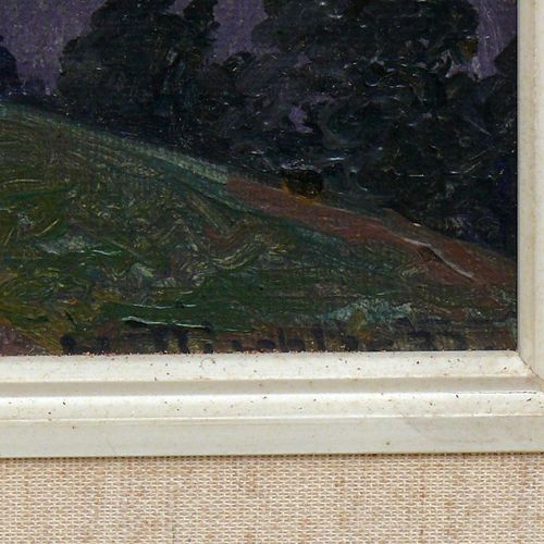 Null 迪施勒，赫尔曼（1866年弗赖堡-1935年辛特扎腾）"《阿尔卑斯山下的尼德维尔风景》；戈尔斯维尔区；油画/画板；右下方有签名和日期。32；约22 x&hellip;