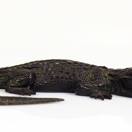 Null Bronzo coccodrillo, patinato scuro; L: 18 cm