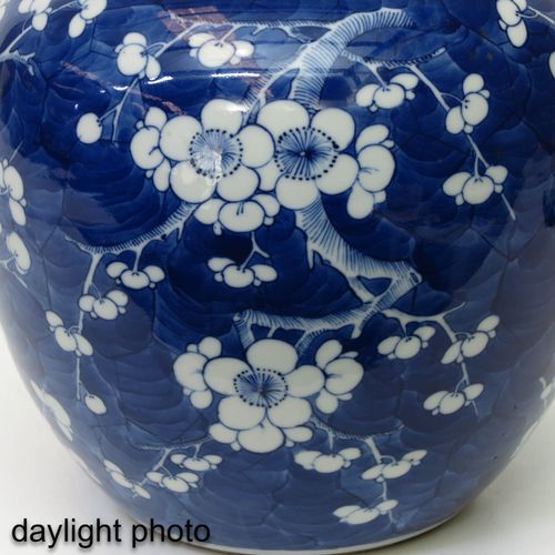 Null Jarra de jengibre azul y blanca
Fondo azul oscuro decorado con flores blanc&hellip;