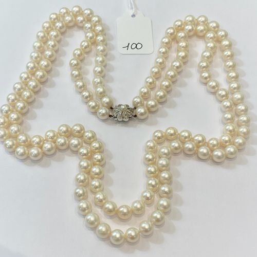Null 由143颗美丽的白色养殖珍珠组成的长项链，从8.2毫米到8.4毫米--白金珍珠扣，65厘米/115.6克