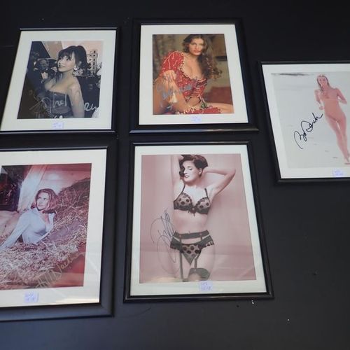 Null 36 photographies encadrées d'actrices/modèles avec autographes originaux do&hellip;