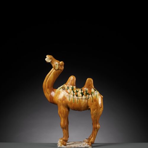 A SANCAI-GLAZED POTTERY FIGURE OF A BACTRIAN CAMEL, TANG DYNASTY FIGURA IN VETRO&hellip;