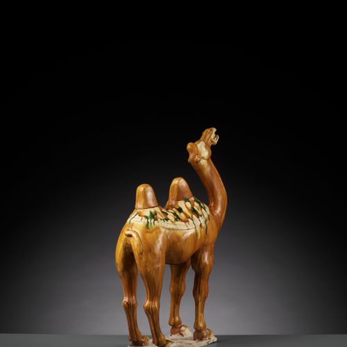 A SANCAI-GLAZED POTTERY FIGURE OF A BACTRIAN CAMEL, TANG DYNASTY FIGURA IN VETRO&hellip;