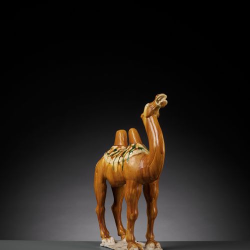 A SANCAI-GLAZED POTTERY FIGURE OF A BACTRIAN CAMEL, TANG DYNASTY FIGURA IN VETRO&hellip;