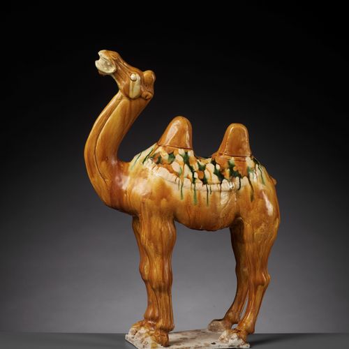 A SANCAI-GLAZED POTTERY FIGURE OF A BACTRIAN CAMEL, TANG DYNASTY A SANCAI-GLAZED&hellip;