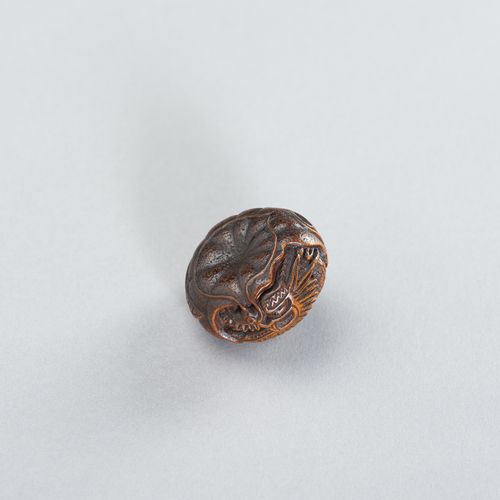 SADANOBU: A FINE WOOD NETSUKE OF A DRAGON INSIDE MIKAN SADANOBU:精美的木制网签
，描绘了龙在蜜柑&hellip;