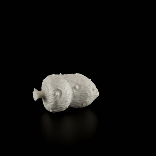 AN IVORY OKIMONO OF A TROPICAL FRUIT 一个热带水果的象牙OKIMONO
日本，明治时期(1868-1912)

雕刻成一个有&hellip;