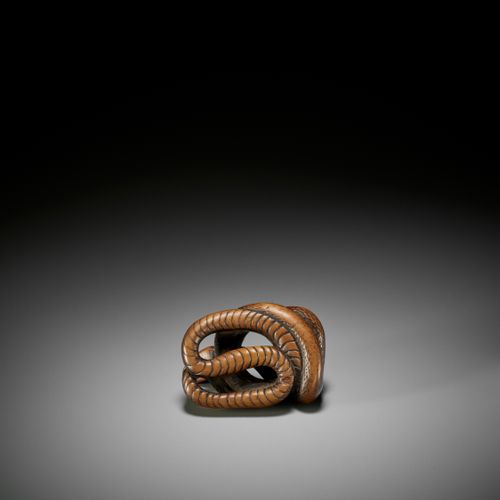 A LARGE AND POWERFUL WOOD NETSUKE OF A COILED SNAKE GRAND ET PUISSANT NETSUKE EN&hellip;