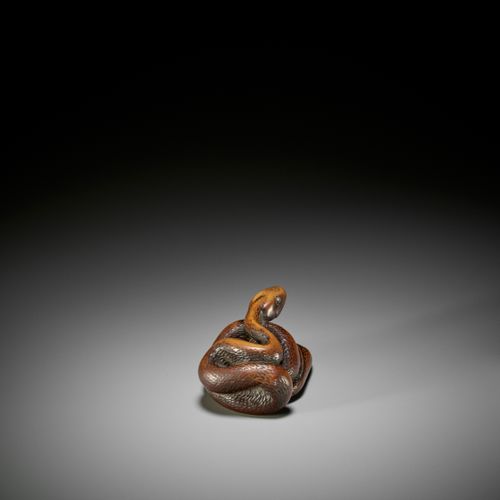 A LARGE AND POWERFUL WOOD NETSUKE OF A COILED SNAKE 大而有力的盘蛇木雕
无署名
 日本，18世纪，江户时代（&hellip;