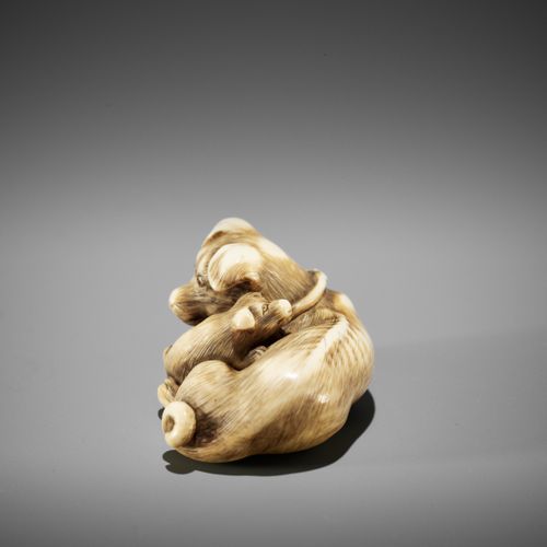 A SUPERB IVORY NETSUKE OF A FEMALE DOG WITH YOUNG, ATTRIBUTED TO OKATOMO A SUPER&hellip;