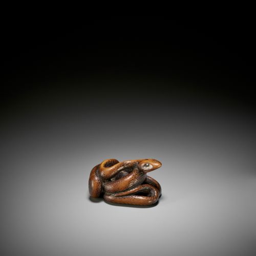 A LARGE AND POWERFUL WOOD NETSUKE OF A COILED SNAKE GRAND ET PUISSANT NETSUKE EN&hellip;