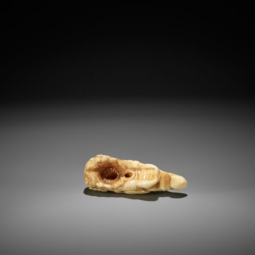 A RARE MARINE IVORY NETSUKE OF A BAKU HEAD 罕见的海洋象牙网罩巴库头
无签名
日本，18世纪，江户时代（1615-18&hellip;