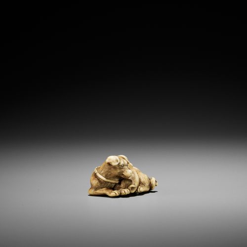 A SUPERB IVORY NETSUKE OF A FEMALE DOG WITH YOUNG, ATTRIBUTED TO OKATOMO 一件极好的IV&hellip;