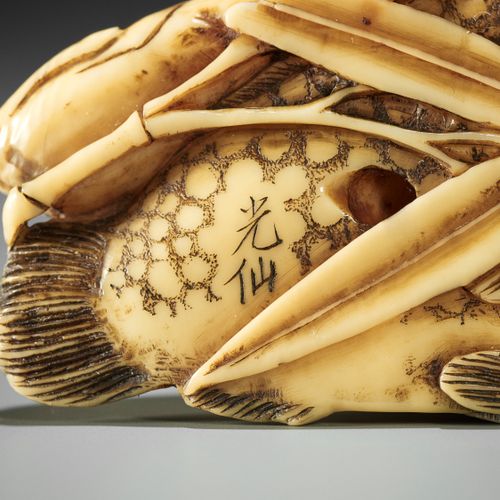 KOSEN: A FINE IVORY NETSUKE OF TWO FISH AND BAMBOO KOSEN: UN FINE NETSUKE D'AVOR&hellip;