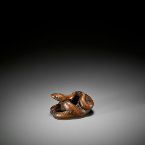 A LARGE AND POWERFUL WOOD NETSUKE OF A COILED SNAKE 大而有力的盘蛇木雕
无署名
 日本，18世纪，江户时代（&hellip;