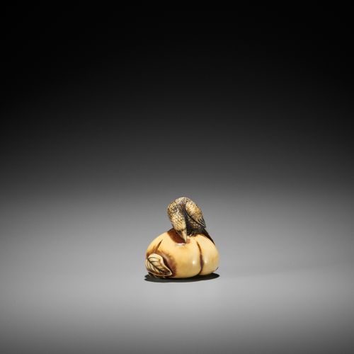 ANRAKU: A FINE IVORY NETSUKE OF A CROW ON PERSIMMON ANRAKU: UNA FINA RED DE MARF&hellip;