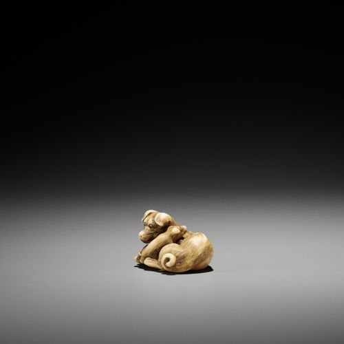 A SUPERB IVORY NETSUKE OF A FEMALE DOG WITH YOUNG, ATTRIBUTED TO OKATOMO A SUPER&hellip;