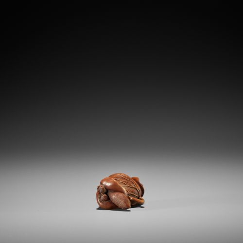 A TANBA SCHOOL WOOD NETSUKE OF A TANUKI WRAPPED IN LOTUS LEAVES 
NETSUKE EN BOIS&hellip;