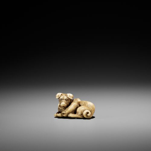 A SUPERB IVORY NETSUKE OF A FEMALE DOG WITH YOUNG, ATTRIBUTED TO OKATOMO SUPERB &hellip;