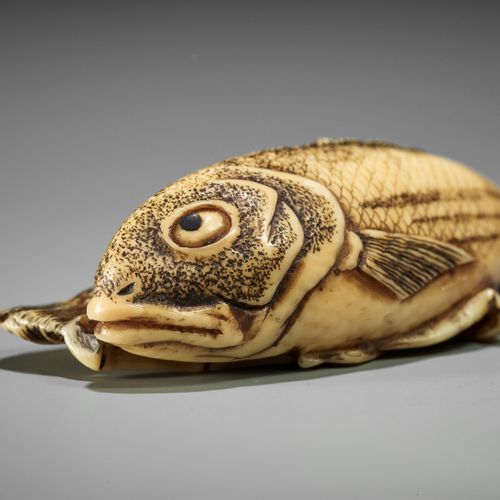 KOSEN: A FINE IVORY NETSUKE OF TWO FISH AND BAMBOO KOSEN: A FINE IVORY NETSUKE o&hellip;