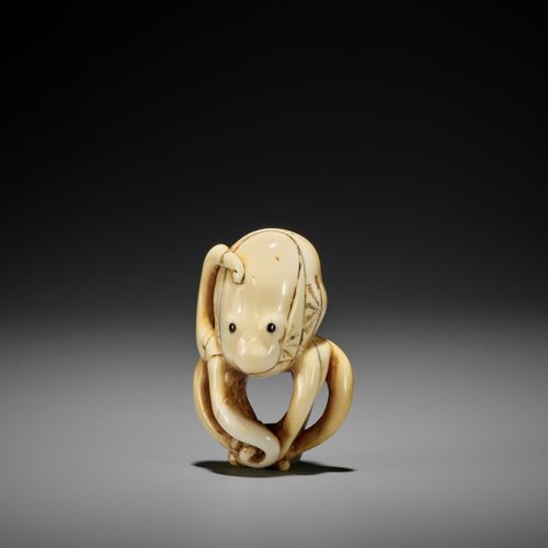 A GOOD IVORY NETSUKE OF AN OCTOPUS 一件很好的象牙材质的OCTOPUS NETSUKE
无签名
日本，18世纪，江户时代（16&hellip;