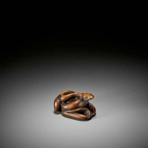 A LARGE AND POWERFUL WOOD NETSUKE OF A COILED SNAKE 大而有力的盘蛇木雕
无署名
 日本，18世纪，江户时代（&hellip;