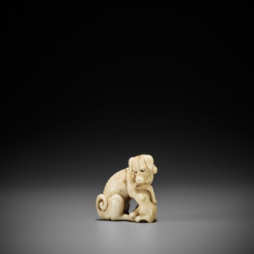 TOMOTADA: A FINE IVORY NETSUKE OF A BITCH AND PUP TOMOTADAUNAFINA NETSUKE DE MAR&hellip;