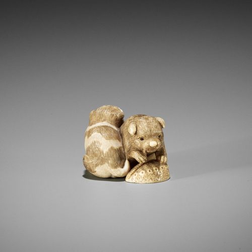 OKATOMO: AN IVORY NETSUKE OF TWO PUPPIES WITH AWABI OKATOMO: NETSUKE DE MARFIL D&hellip;