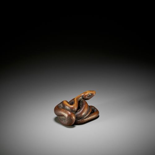 A LARGE AND POWERFUL WOOD NETSUKE OF A COILED SNAKE GRANDE Y PODEROSA SERPIENTED&hellip;