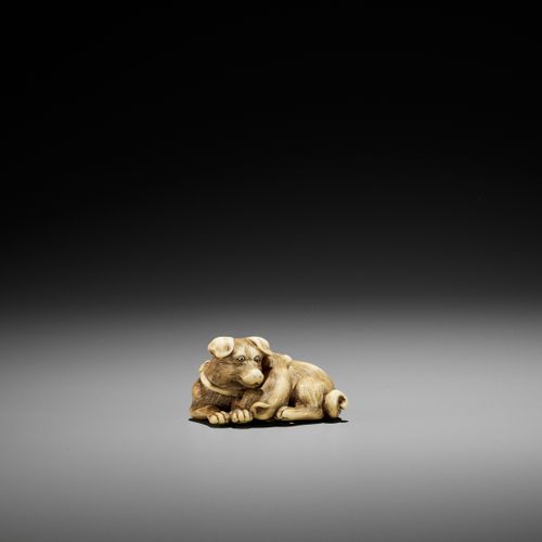 A SUPERB IVORY NETSUKE OF A FEMALE DOG WITH YOUNG, ATTRIBUTED TO OKATOMO SUPERBE&hellip;