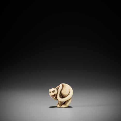 OTOMAN: A SUPERB IVORY NETSUKE OF A TIGER OTOMAN : SUPERBE NETSUKE EN IVOIRE D'U&hellip;