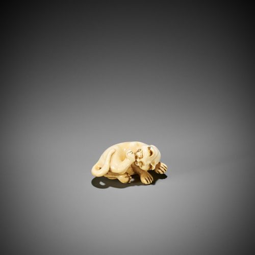 AN IVORY NETSUKE OF A CAT GROOMING ITSELF NETSUKE EN IVOIRE D'UN CAT SE FROTTANT&hellip;