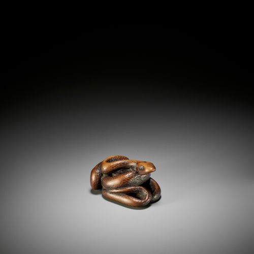 A LARGE AND POWERFUL WOOD NETSUKE OF A COILED SNAKE 大而有力的盘蛇木雕
无署名
 日本，18世纪，江户时代（&hellip;