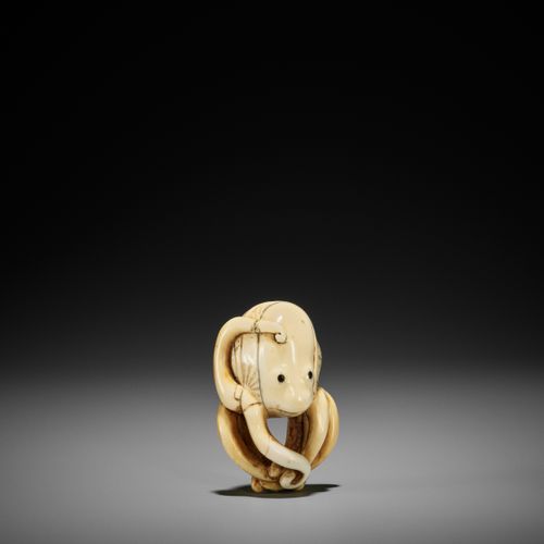 A GOOD IVORY NETSUKE OF AN OCTOPUS 一件很好的象牙材质的OCTOPUS NETSUKE
无签名
日本，18世纪，江户时代（16&hellip;