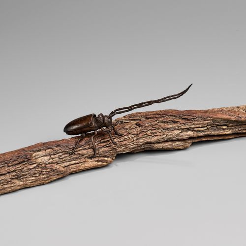 AN ARTICULATED BRONZE OKIMONO OF A SAWYER BEETLE CLIMBING A ROOTWOOD LOG 一个爬在根木上&hellip;