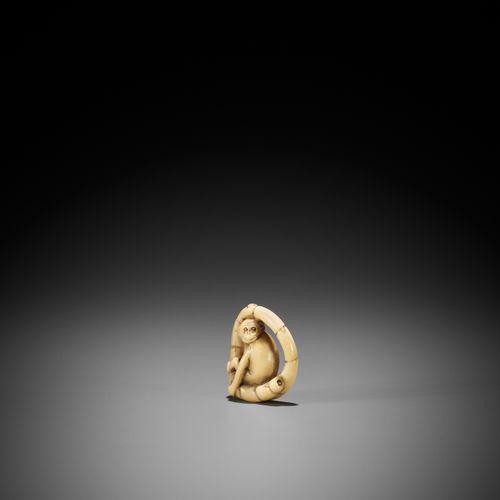 ? A MARINE IVORY NETSUKE OF A MONKEY SITTING IN A COILED BAMBOO NODE 
日本，约1830年，&hellip;