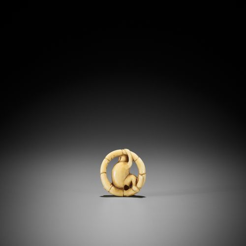 ? A MARINE IVORY NETSUKE OF A MONKEY SITTING IN A COILED BAMBOO NODE 
日本，约1830年，&hellip;